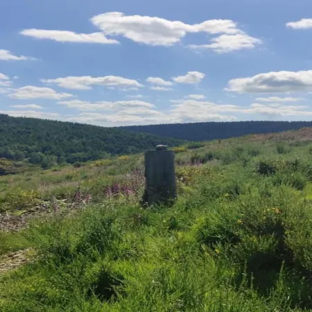 Near Les Etangs De Bages *