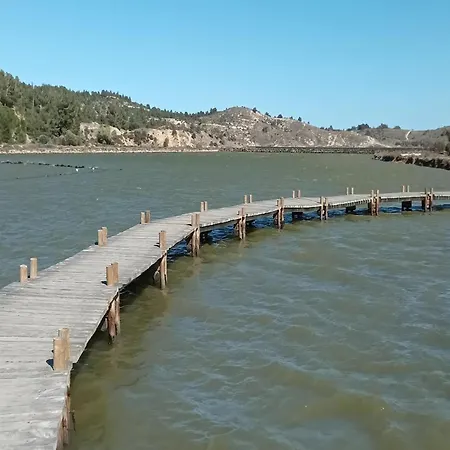 Near Les Etangs De Bages * Narbonne